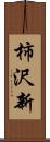 柿沢新 Scroll