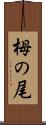 栂の尾 Scroll
