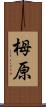 栂原 Scroll