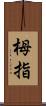 栂指 Scroll