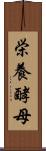 栄養酵母 Scroll