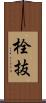 栓抜 Scroll
