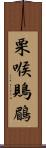 栗喉鵙鶥 Scroll