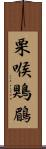 栗喉鶪鶥 Scroll