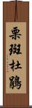 栗斑杜鵑 Scroll