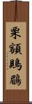 栗額鵙鶥 Scroll