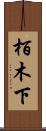 栢木下 Scroll