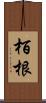 栢根 Scroll