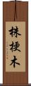 株梗木 Scroll