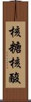 核糖核酸 Scroll