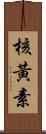 核黃素 Scroll