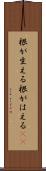 根が生える Scroll