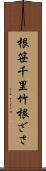 根笹 Scroll