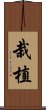 栽植 Scroll