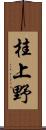 桂上野 Scroll