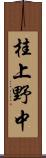 桂上野中 Scroll