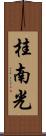 桂南光 Scroll