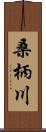 桑柄川 Scroll