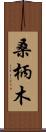 桑柄木 Scroll