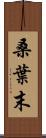 桑葉末 Scroll