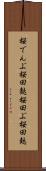 桜でんぶ Scroll