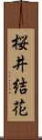 桜井結花 Scroll