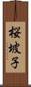 桜坡子 Scroll