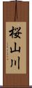 桜山川 Scroll