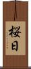 桜日 Scroll