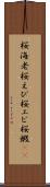 桜海老 Scroll