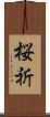 桜祈 Scroll