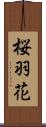 桜羽花 Scroll