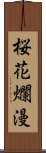 桜花爛漫 Scroll