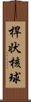 桿状核球 Scroll