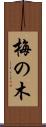 梅の木 Scroll
