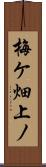 梅ケ畑上ノ Scroll