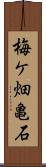 梅ケ畑亀石 Scroll