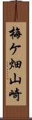 梅ケ畑山崎 Scroll