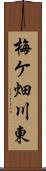 梅ケ畑川東 Scroll