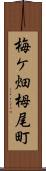 梅ケ畑栂尾町 Scroll