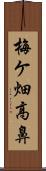 梅ケ畑高鼻 Scroll