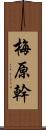 梅原幹 Scroll