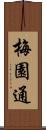 梅園通 Scroll