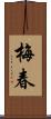 梅春 Scroll