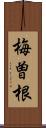 梅曽根 Scroll