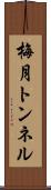 梅月トンネル Scroll