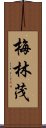 梅林茂 Scroll