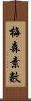 梅森素數 Scroll