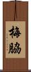 梅脇 Scroll