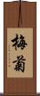 梅菊 Scroll